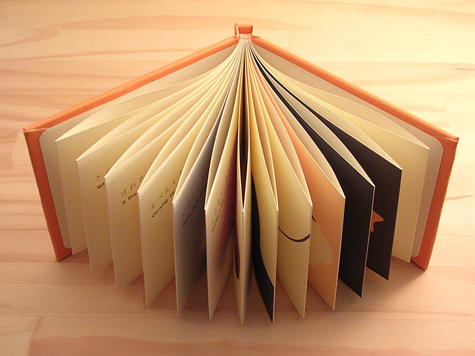 だいだいの本 / Orange book